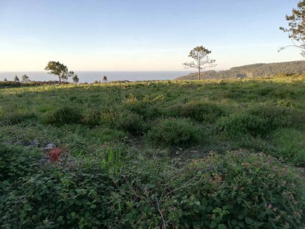 Terreno en baldayo s/n