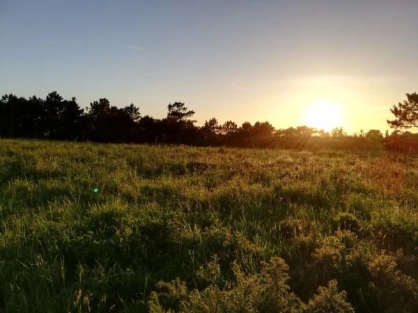 Terreno en baldayo s/n