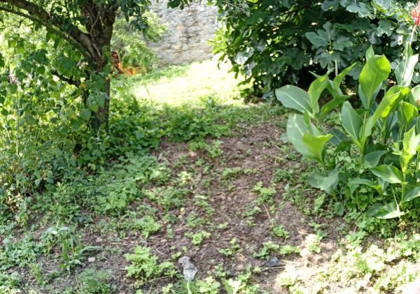 Terreno en Noicela s/n Sn