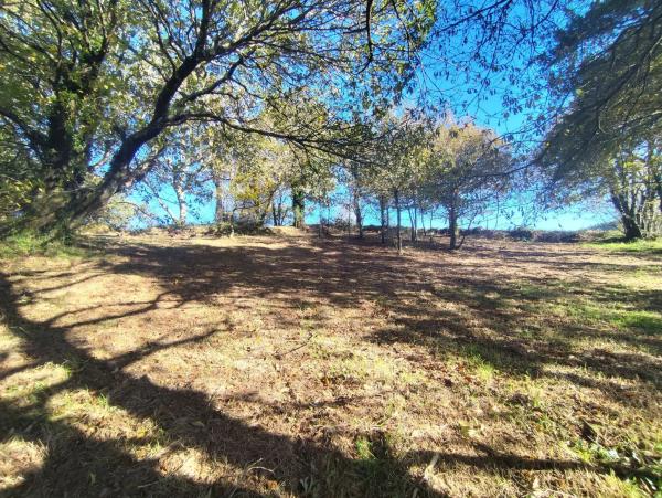 Terreno en Zanfoga, 12