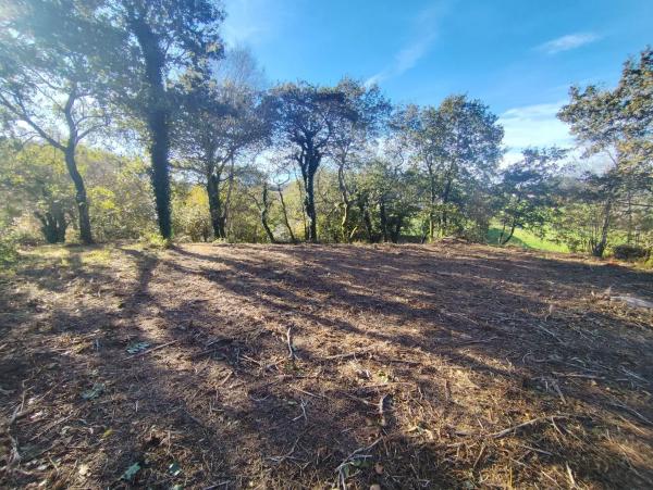 Terreno en Zanfoga, 12