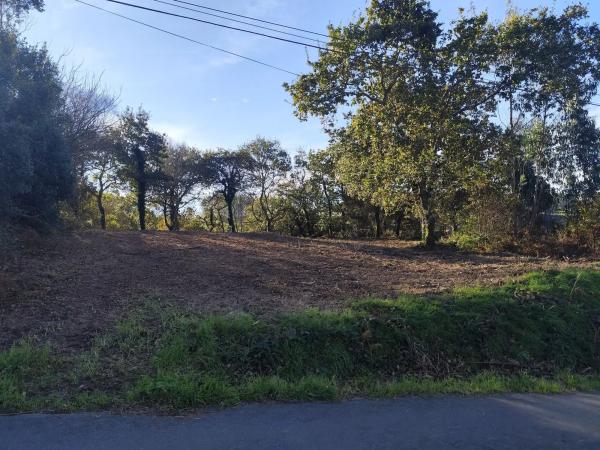 Terreno en Zanfoga, 12