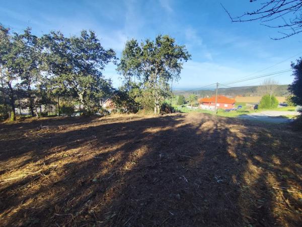 Terreno en Zanfoga, 12