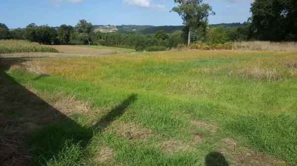 Terreno en Campos de Bolón s/n