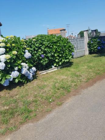 Terreno en Aseñado, 39