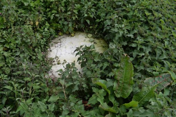 Terreno en Lugar a grela s/n