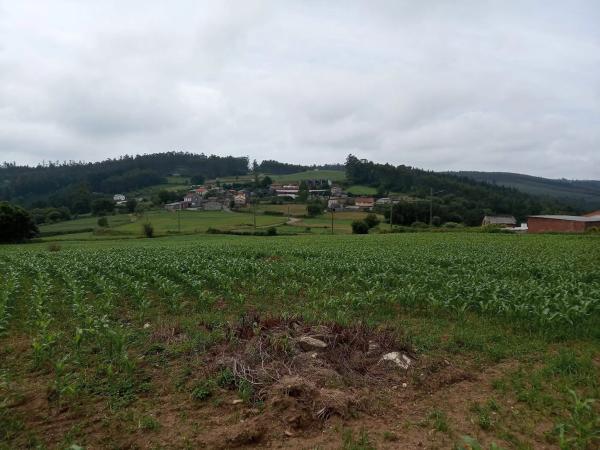 Terreno en Carballo
