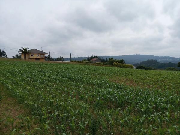 Terreno en Carballo