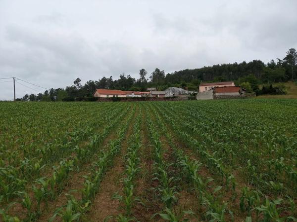 Terreno en Carballo