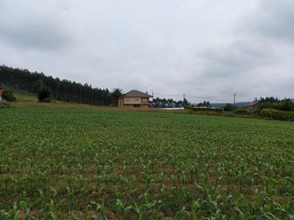 Terreno en Carballo