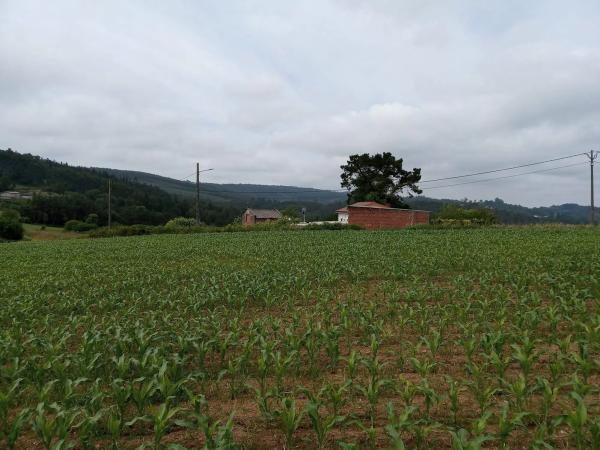 Terreno en Carballo