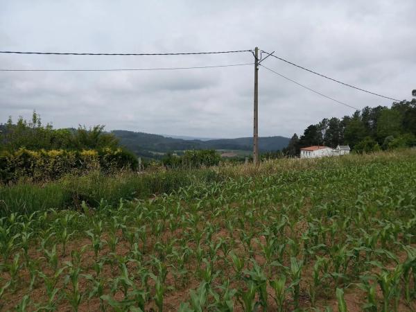 Terreno en Carballo