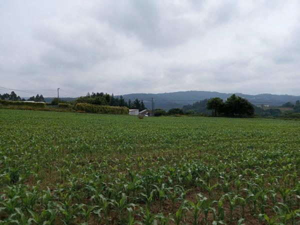 Terreno en Carballo