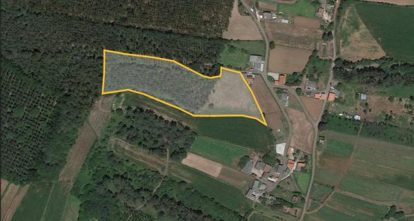 Terreno en o Piñeiro