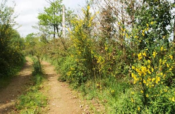 Terreno en Chousa de Canleiro s/n