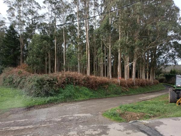 Terreno en Escras s/n