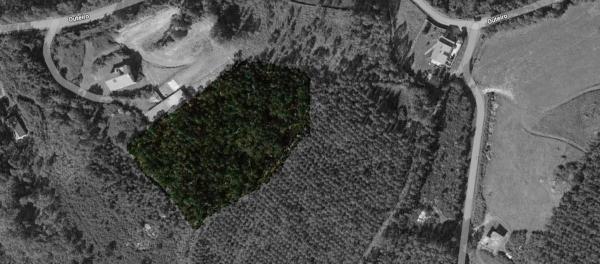 Terreno en caion s/n