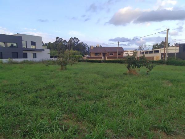 Terreno en Mirón, 49