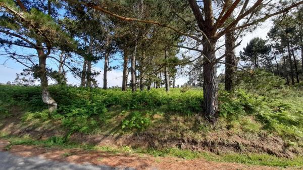 Terreno en Lugar Val Arriba, 3