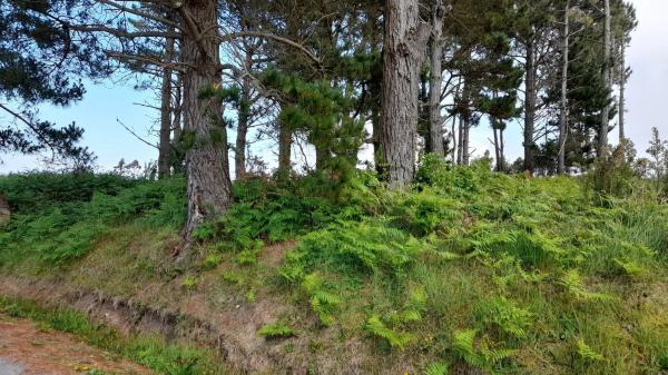Terreno en Lugar Val Arriba, 3