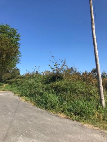 Terreno en Lugar Paiosaco