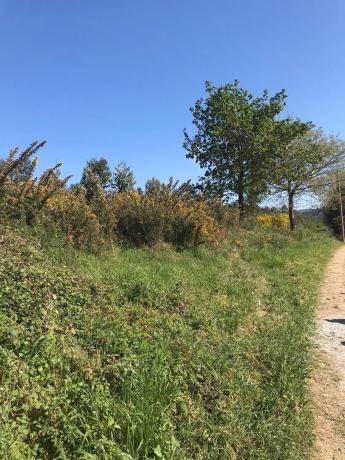 Terreno en Lugar Paiosaco