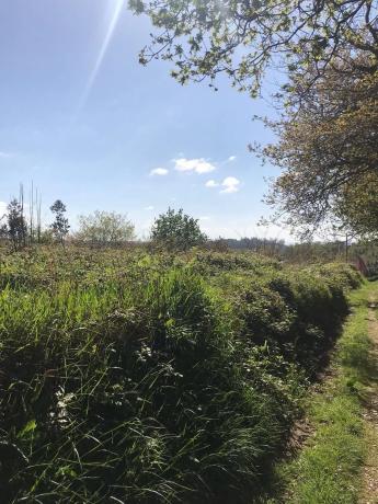 Terreno en Lugar Paiosaco