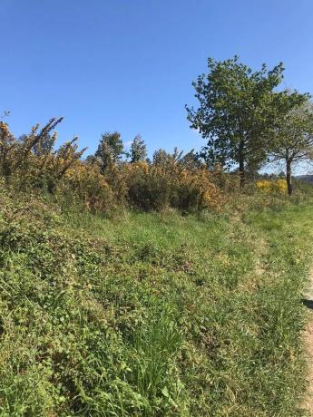 Terreno en Lugar Paiosaco