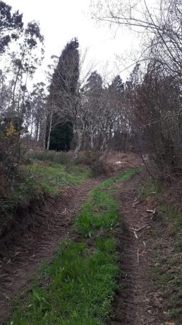 Terreno en o Petón s/n