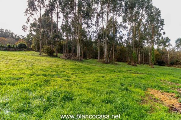 Terreno en Coristanco