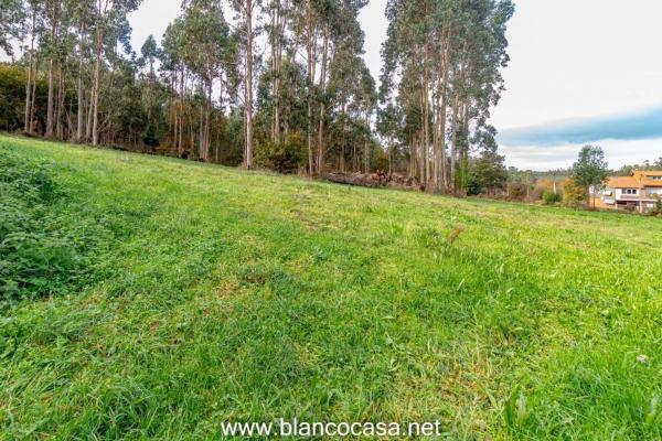 Terreno en Coristanco