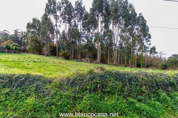 Terreno en Coristanco