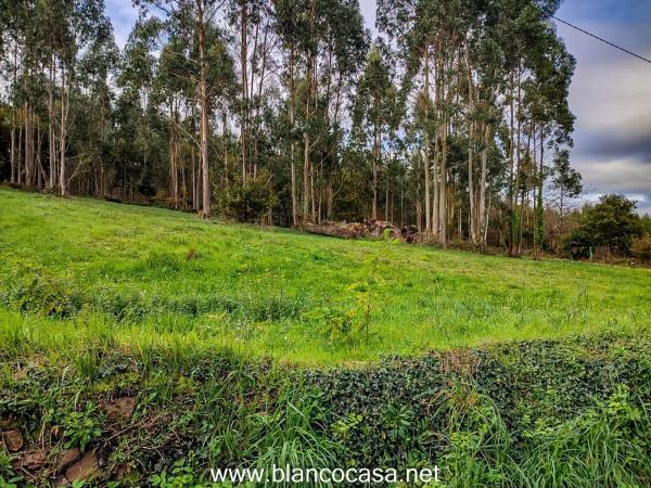 Terreno en Coristanco