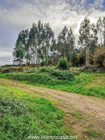 Terreno en Coristanco