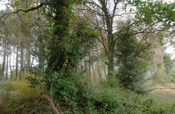 Terreno en camino sen nome