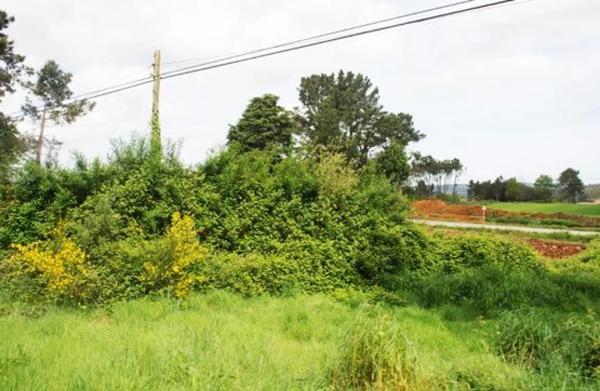 Terreno en camino sen nome