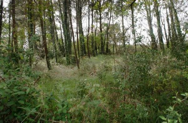 Terreno en camino sen nome