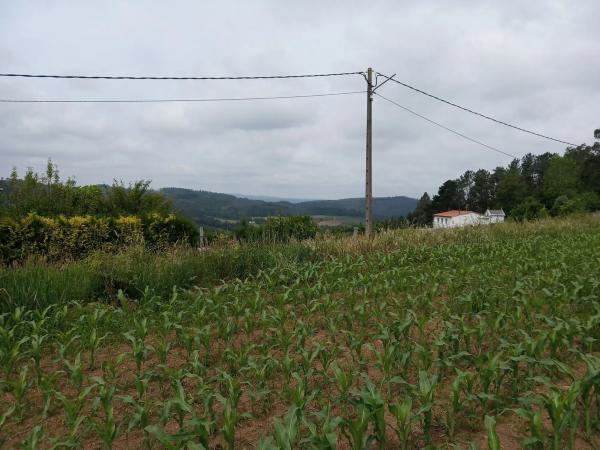Terreno en Sofán s/n