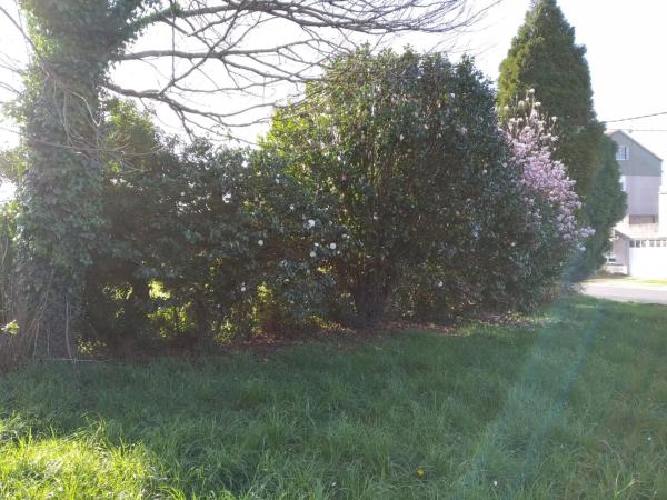 Terreno en Lugar Cruceiro, km 4