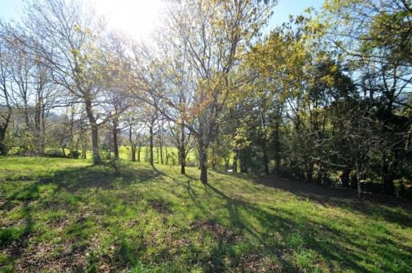 Terreno en camino Sen Nome