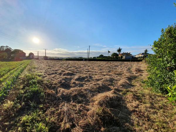 Terreno en Lugar Lagarteira