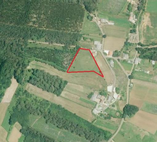 Terreno en Lugar Piñeiro