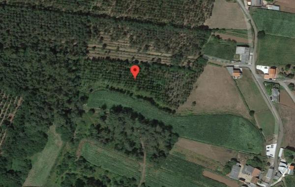 Terreno en Piñeiro