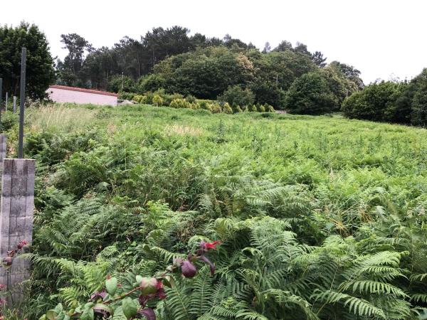 Terreno en Finca a Gandara s/n