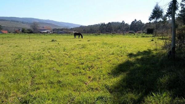 Terreno en Piñeiro
