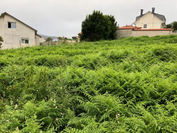 Terreno en Finca a Gandara s/n