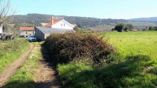 Terreno en Piñeiro