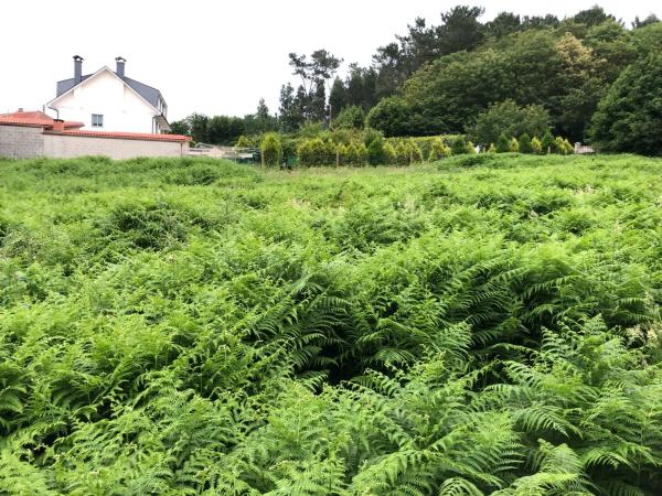 Terreno en Finca a Gandara s/n