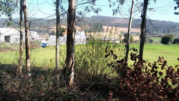 Terreno en Piñeiro