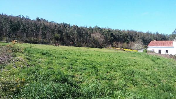 Terreno en Piñeiro